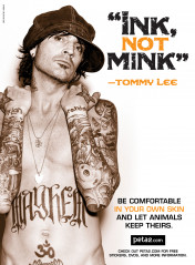 Tommy Lee фото №52218